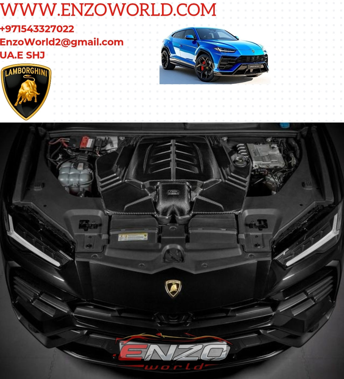 Lamborghini Urus Inlet Carbon Fiber System