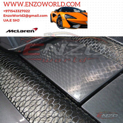 Mclaren 570S Rear Trunk Cover OE :13AA111SP