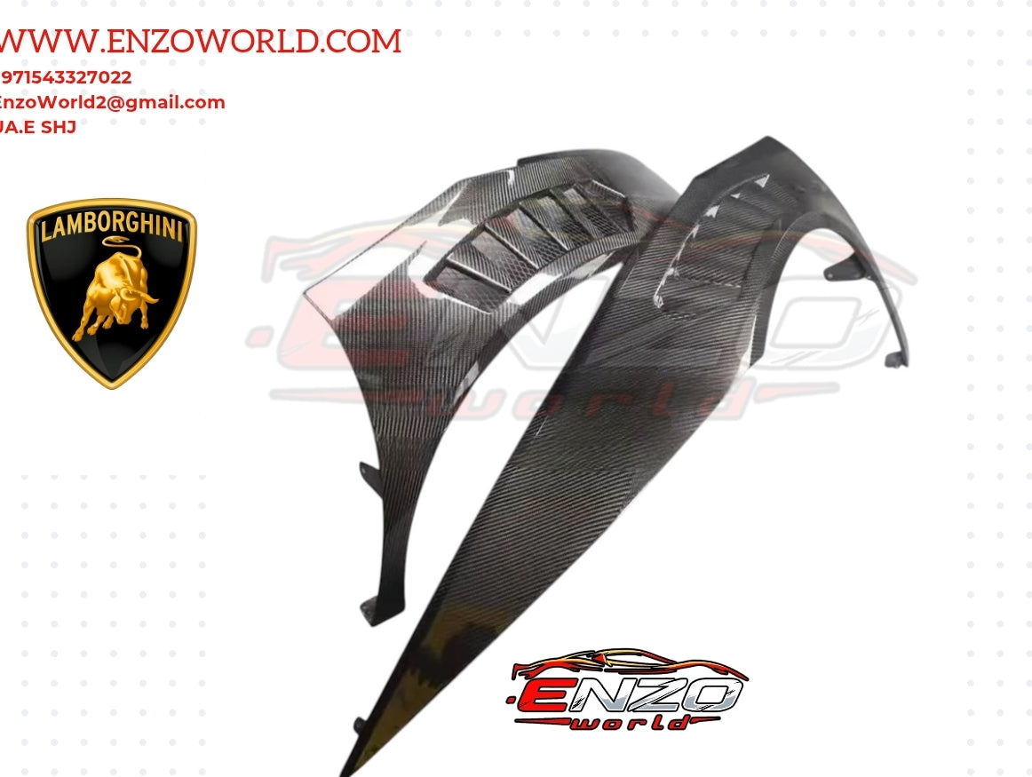 Lamborghini Huracan LP580/LP610/EVO Upgraded V-Style Dry Carbon Fender