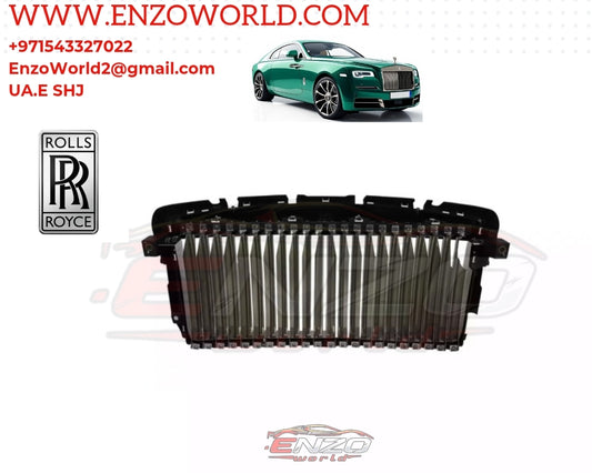 Rolls-Royce Wraith-Dawn Radiator Grille Silver Metallic OEM 51117301357