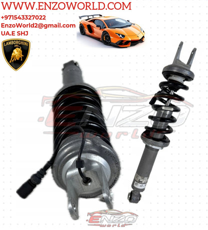 Lamborghini AVENTADOR Rear  Shock ABSORBER OEM: 470512019AR