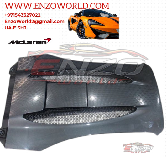 Mclaren 570S Rear Trunk Cover OE :13AA111SP